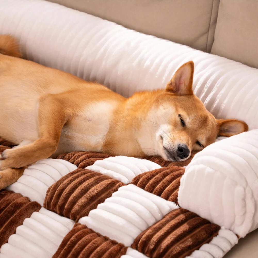 Maison Canin : Le Sur-Sofa Damier
