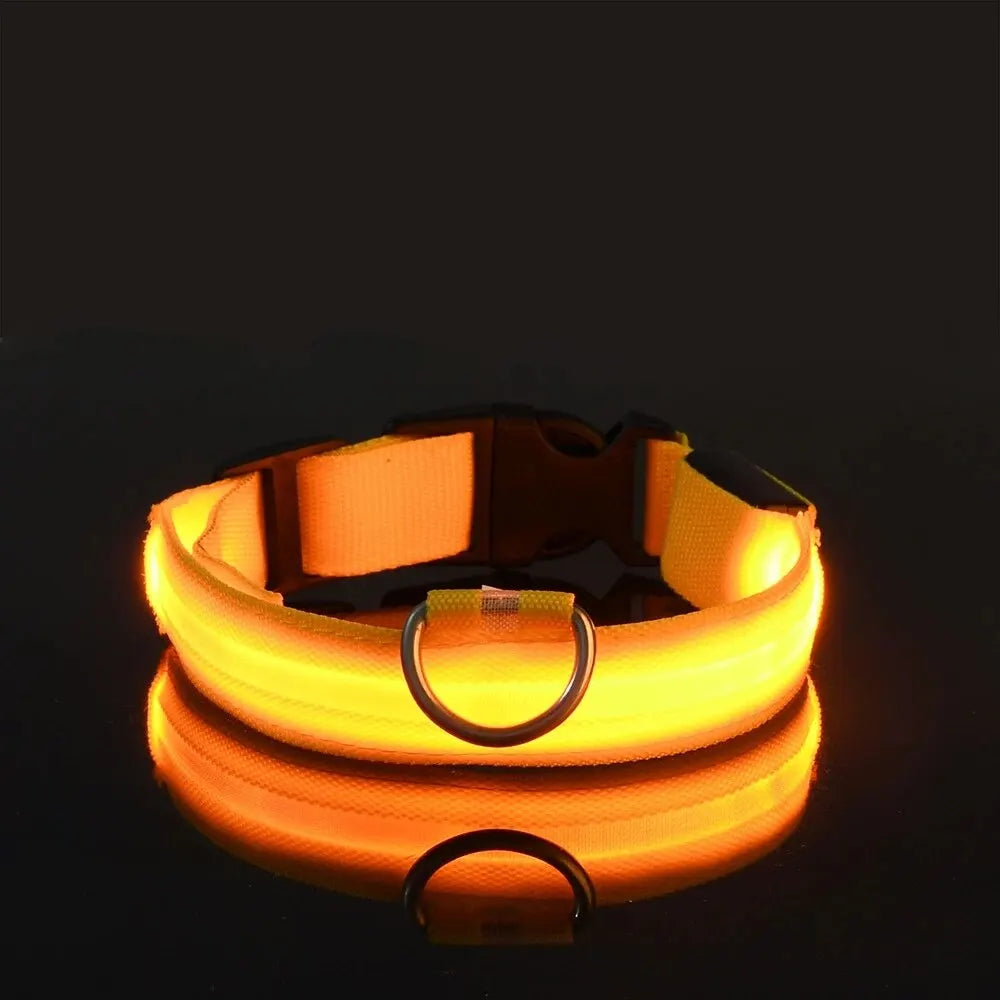 Le Collier Lumineux — Série Nuit