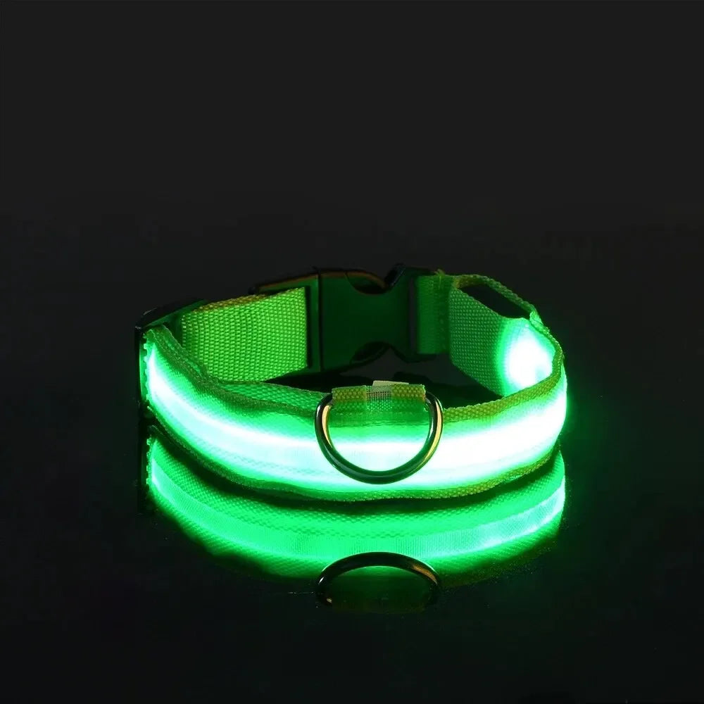 Le Collier Lumineux — Série Nuit