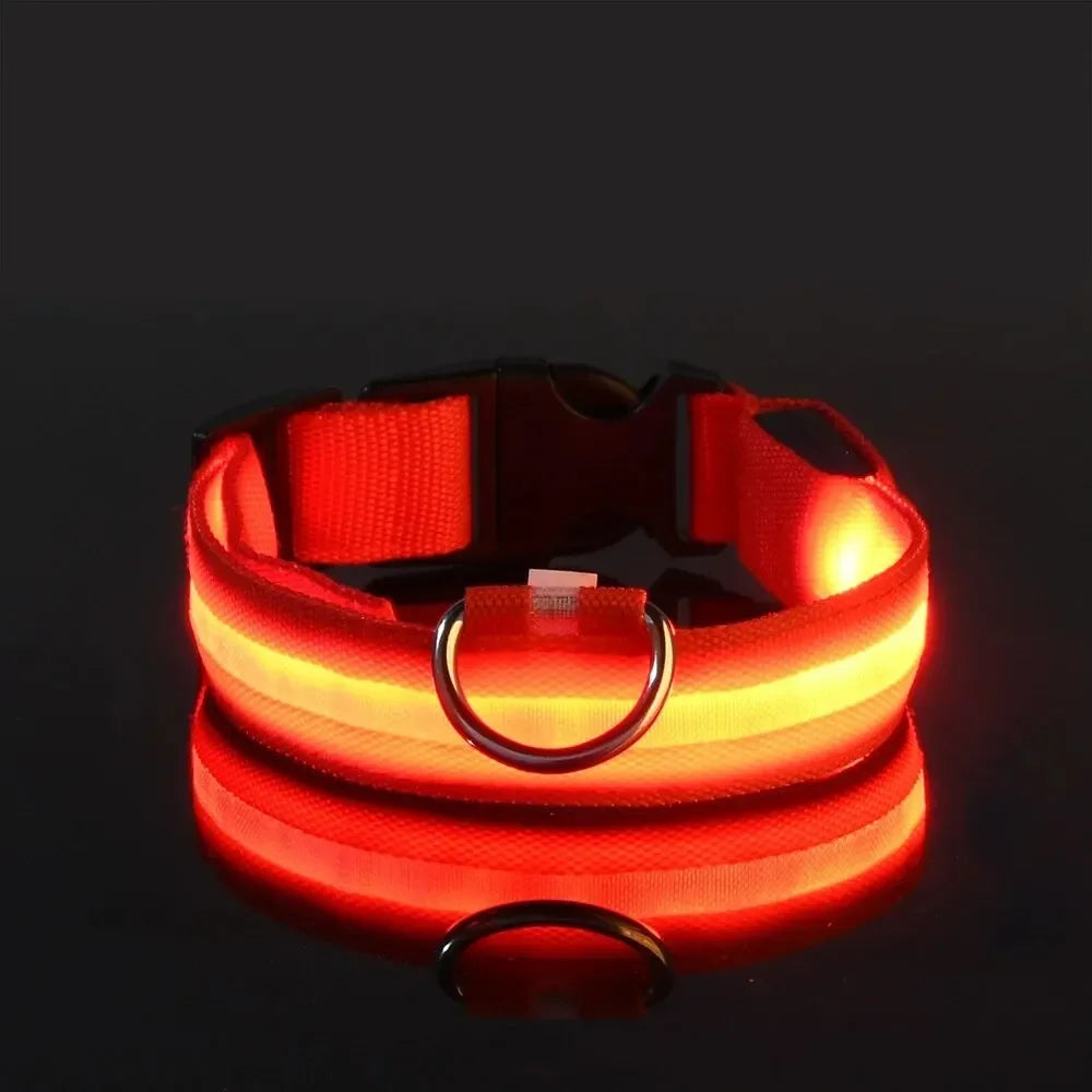 Le Collier Lumineux — Série Nuit
