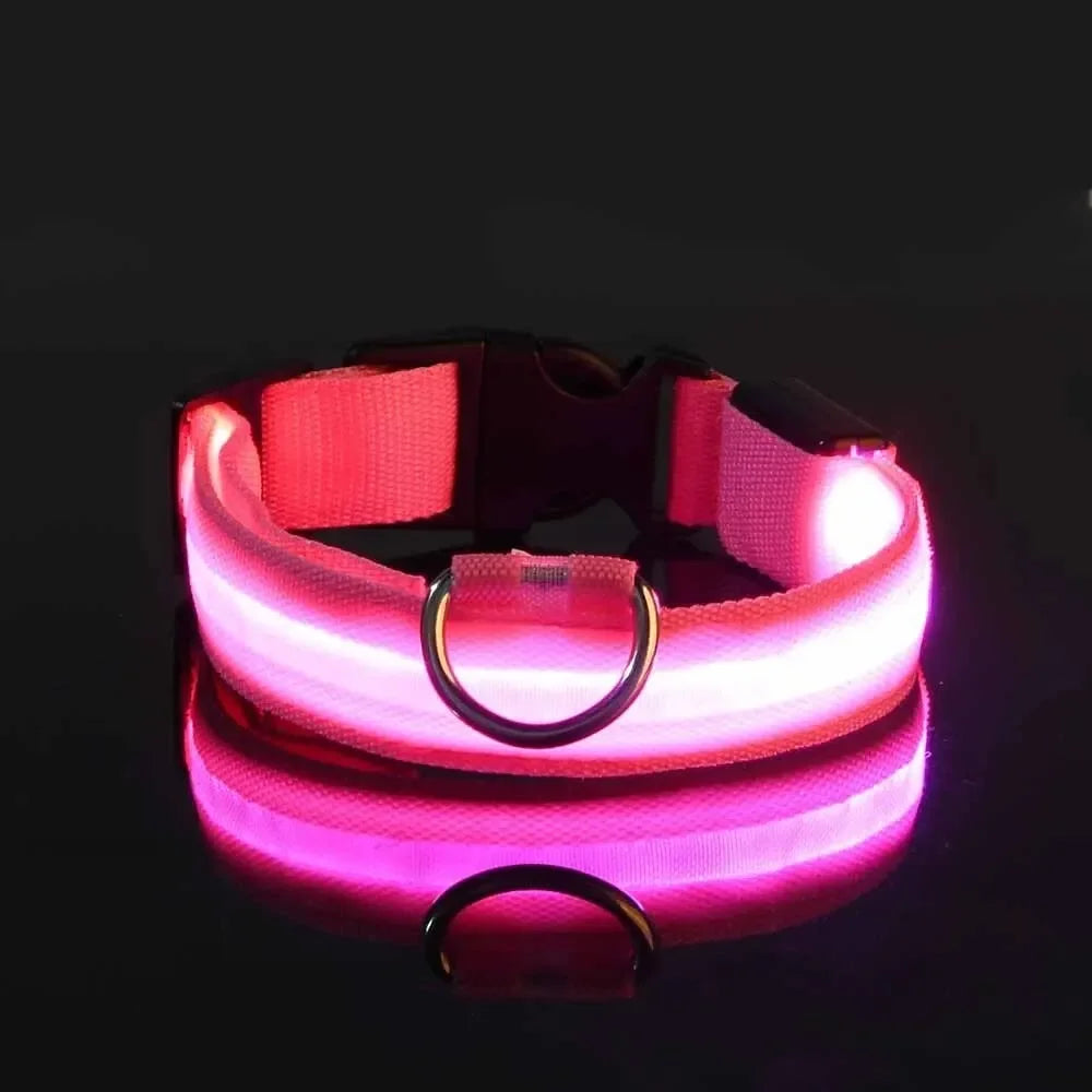 Le Collier Lumineux — Série Nuit