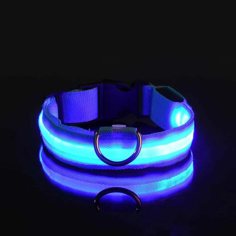 Le Collier Lumineux — Série Nuit