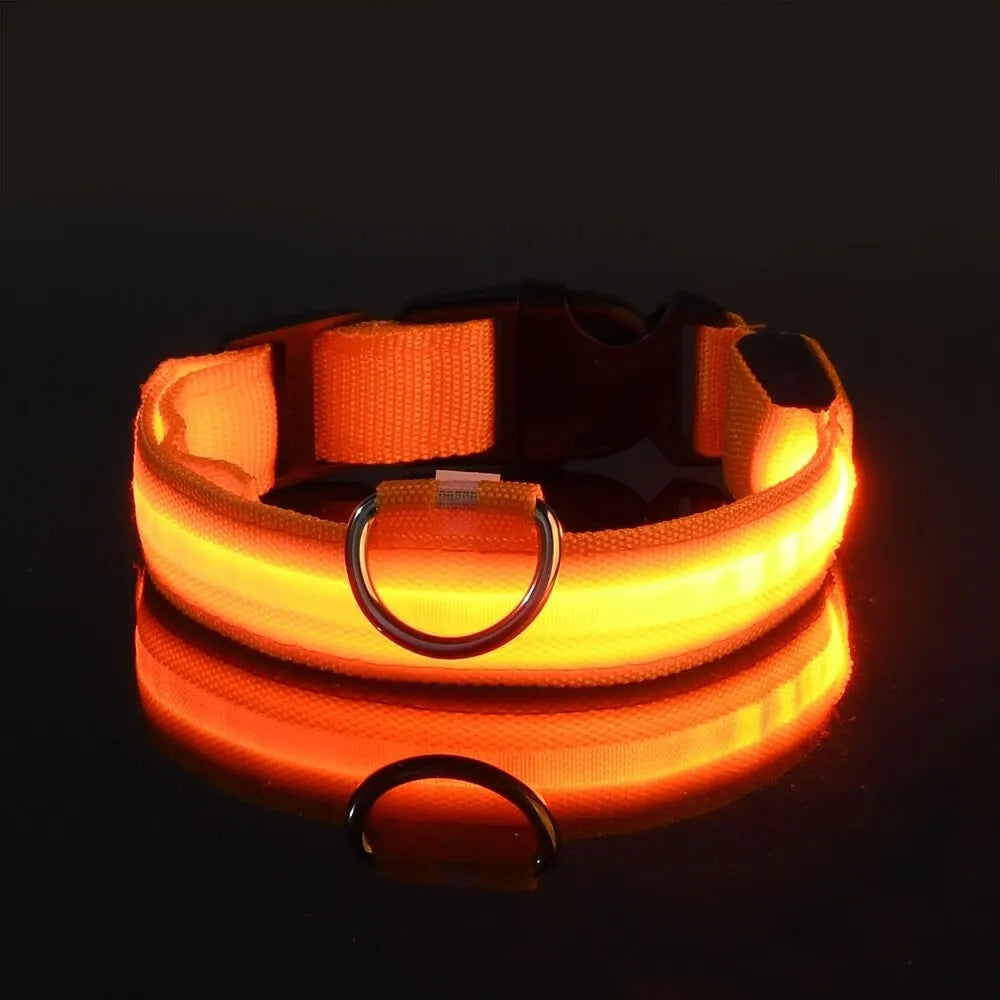 Le Collier Lumineux — Série Nuit