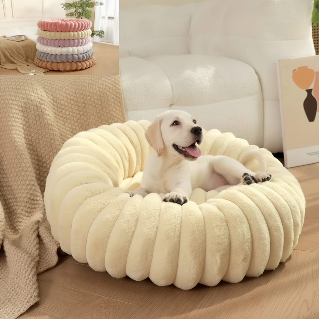 Labrador - Blanc Cassé - HD